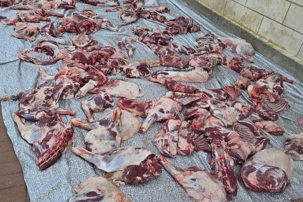 رهط | صور من مسجد الإخاء والتقوى… مشروع الأضاحي يواصل دعم العائلات المتعففة منذ سنوات
