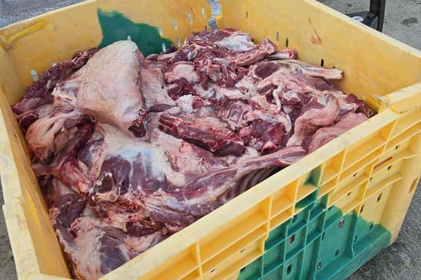 رهط | صور من مسجد الإخاء والتقوى… مشروع الأضاحي يواصل دعم العائلات المتعففة منذ سنوات