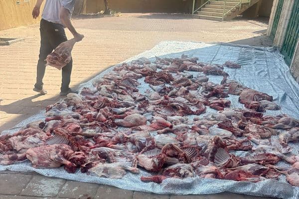 رهط | صور من مسجد الإخاء والتقوى… مشروع الأضاحي يواصل دعم العائلات المتعففة منذ سنوات