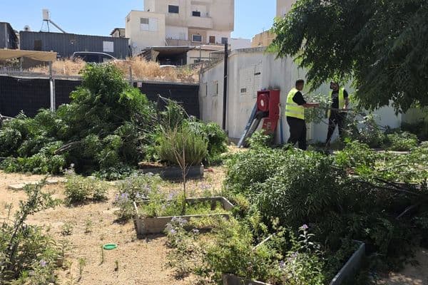 رهط | شكاوى من إهمال في روضتي الزمرد والبتراء بحارتي 28 و29 بعد سقوط شجرة داخل الساحة
