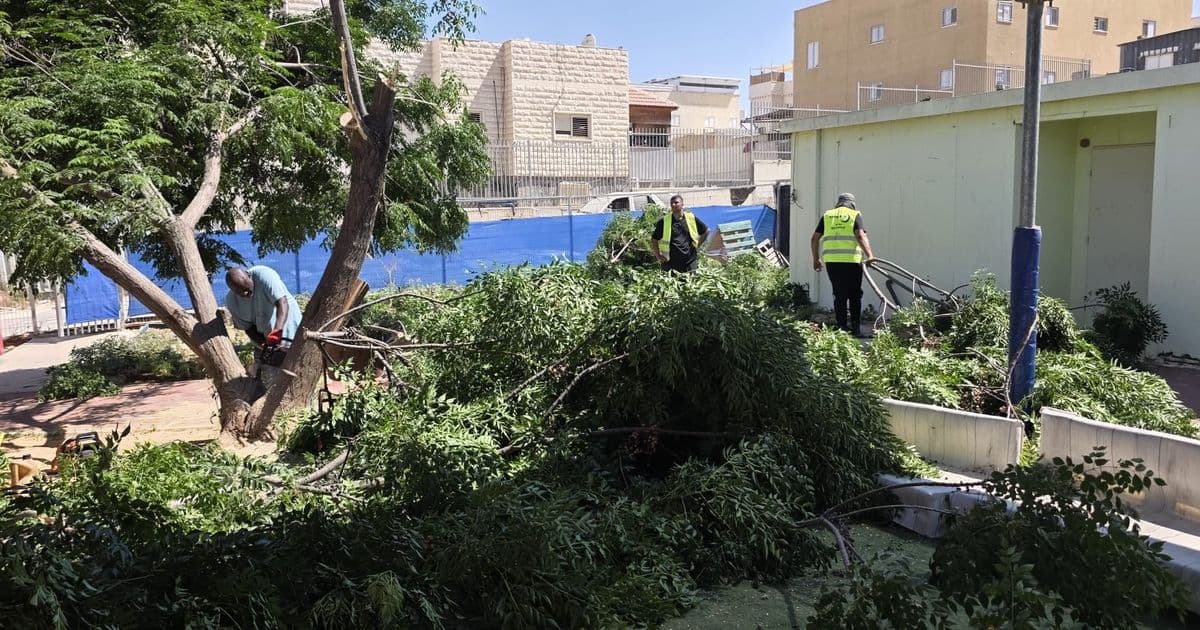 رهط | شكاوى من إهمال في روضتي الزمرد والبتراء بحارتي 28 و29 بعد سقوط شجرة داخل الساحة