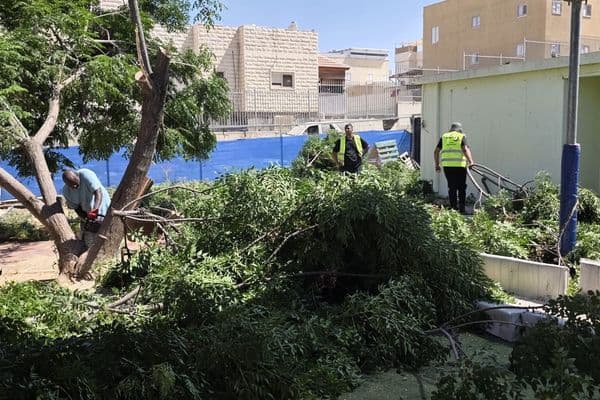 رهط | شكاوى من إهمال في روضتي الزمرد والبتراء بحارتي 28 و29 بعد سقوط شجرة داخل الساحة