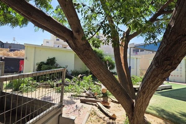 رهط | شكاوى من إهمال في روضتي الزمرد والبتراء بحارتي 28 و29 بعد سقوط شجرة داخل الساحة