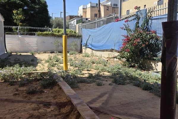 رهط | شكاوى من إهمال في روضتي الزمرد والبتراء بحارتي 28 و29 بعد سقوط شجرة داخل الساحة