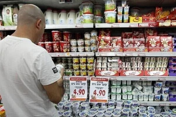 موجة غلاء جديدة تضرب أسعار منتجات الألبان